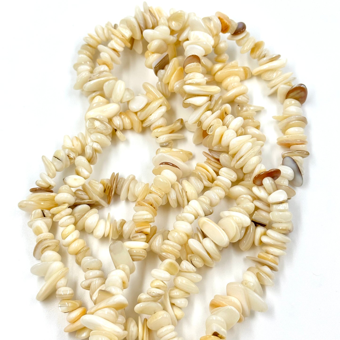 Natural Shell Chip Beads Undyed