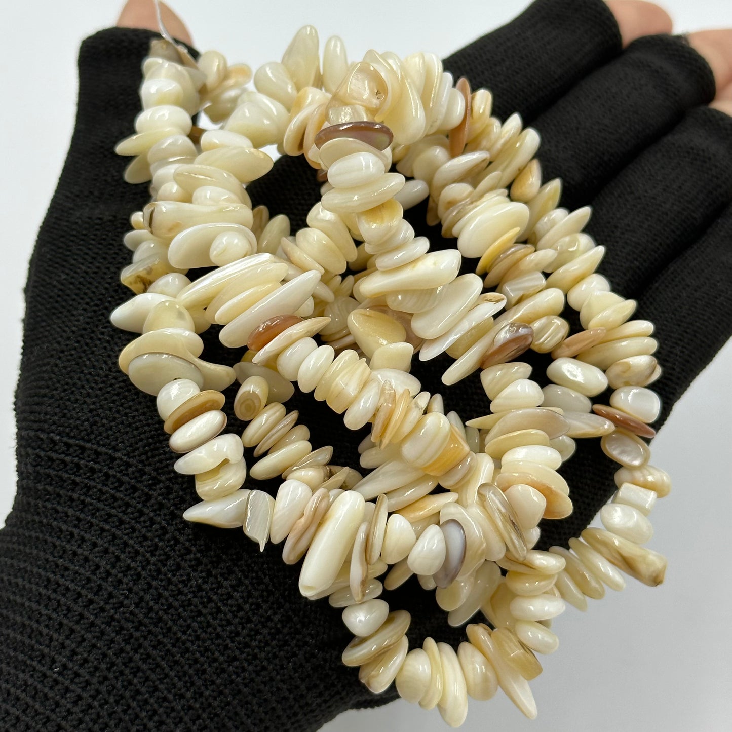 Natural Shell Chip Beads Undyed