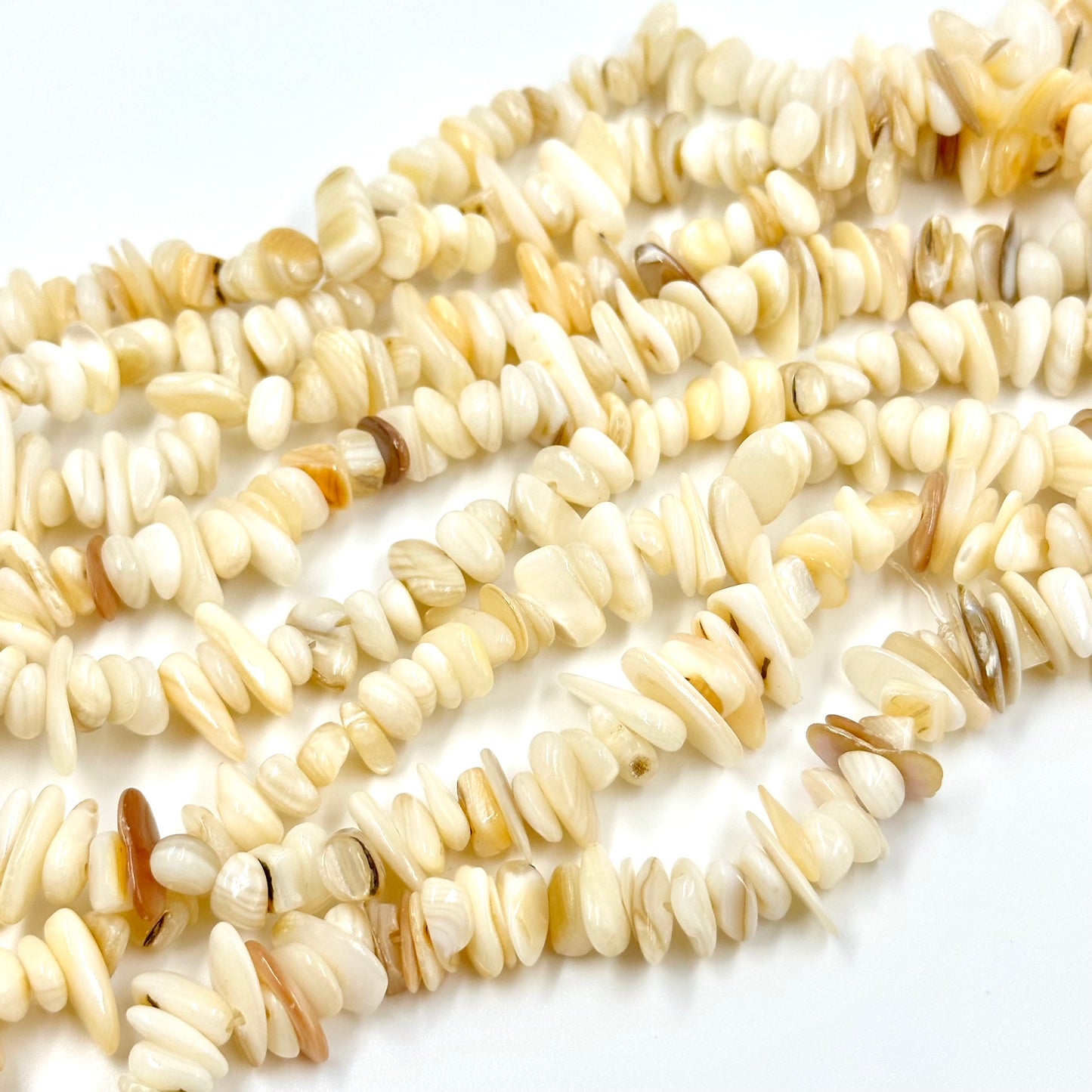 Natural Shell Chip Beads Undyed