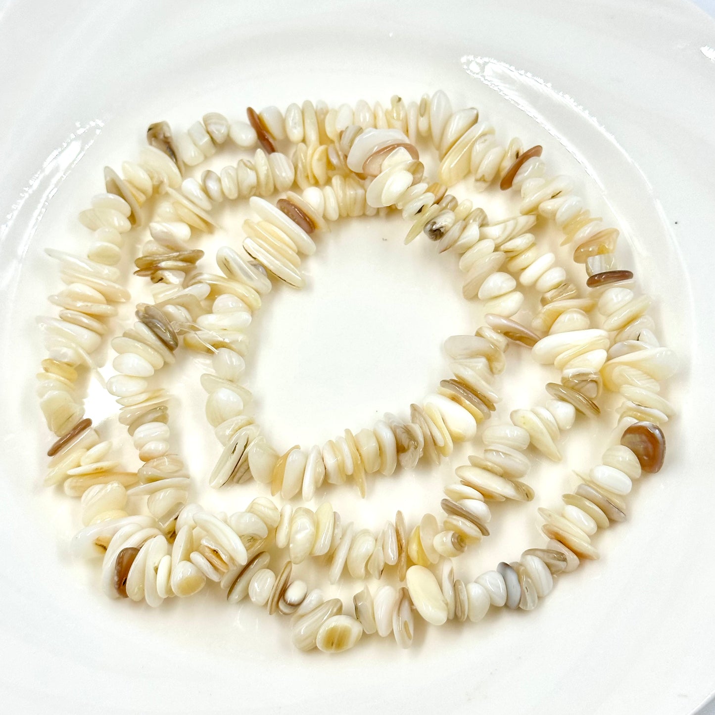 Natural Shell Chip Beads Undyed